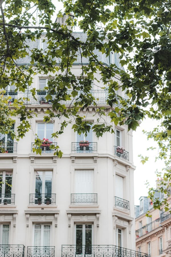 Unlocking opportunities in paris real estate for americans